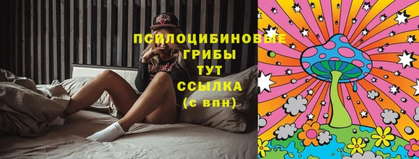 спиды Алексин