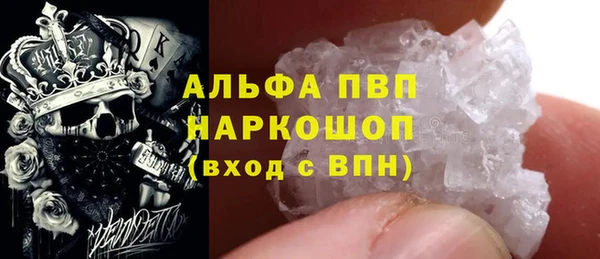 шишки Новокубанск